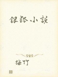 银狐小说