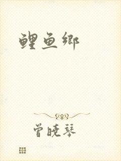 鲤鱼乡封面