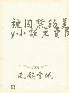 被囚禁的美人by小说免费阅读