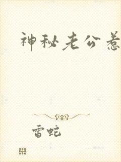 神秘老公惹不起封面