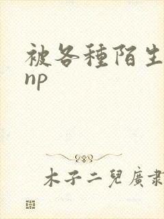 被各种陌生人 np
