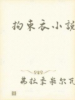 拘束衣小说