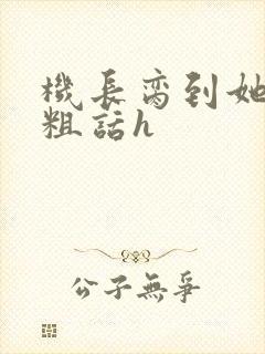 机长脔到她哭h粗话h
