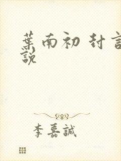 叶南初 封言小说