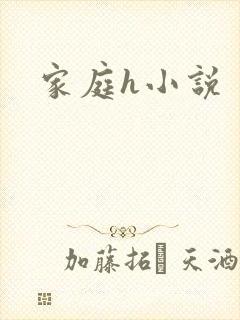 家庭h小说