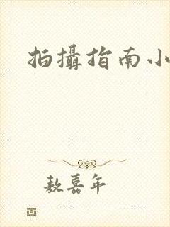 拍摄指南小说