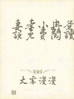 妻孝小冉爸爸小说免费阅读封面