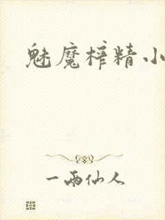 魅魔榨精小说封面