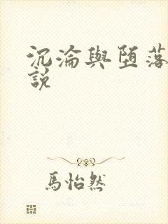沉沦与堕落的小说