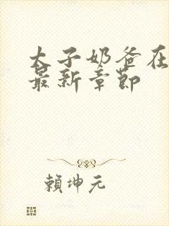 太子奶爸在花都最新章节封面