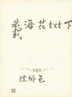 藏海花txt下载