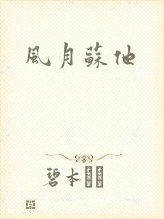 风月苏他