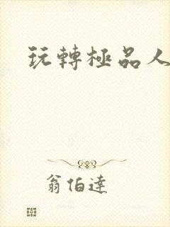 玩转极品人生封面