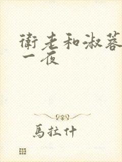卫老和淑蓉销魂一夜封面