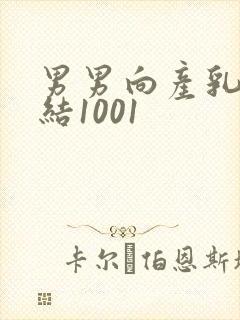 男男向产乳文小结1001封面