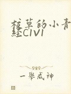 校草的小青梅不经C1V1封面
