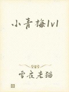 小青梅1v1