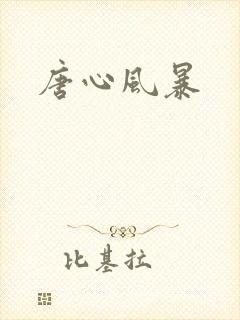 唐心风暴封面