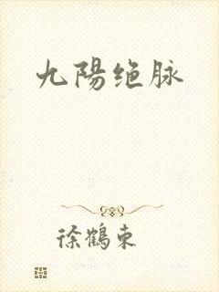 九阳绝脉封面