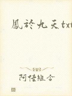 凤于九天txt