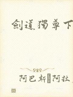 剑道独尊下载