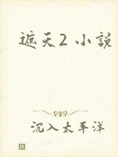 遮天2 小说
