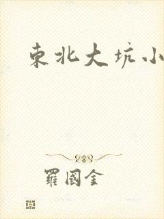 东北大坑小说封面