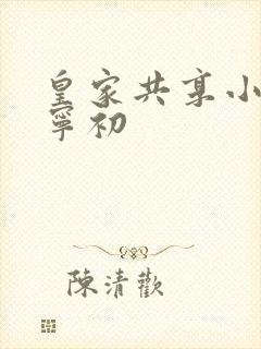 皇家共享小公主宁初封面