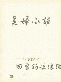 美妇小说