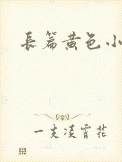 长篇黄色小说