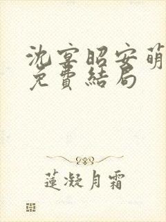 沈宴昭安萌全文免费结局封面
