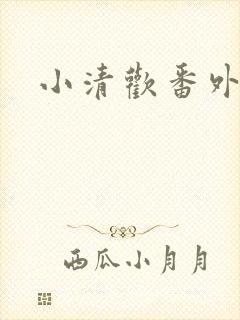 小清欢番外