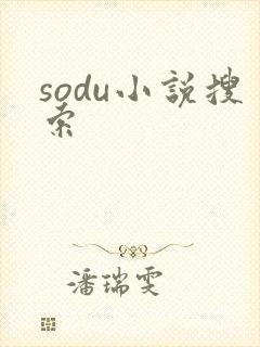 sodu小说搜索