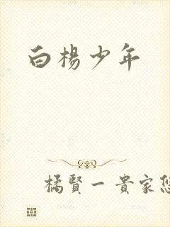 白杨少年