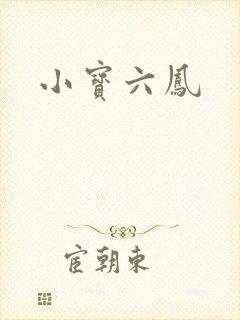 小宝六凤