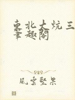 东北大炕三部曲笔趣阁