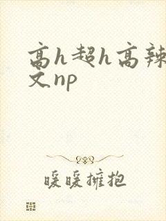 高h超h高辣h文np