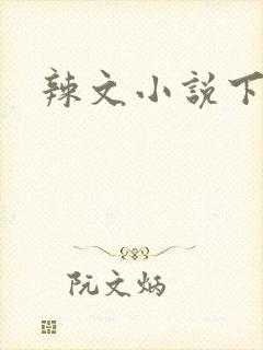 辣文小说下载