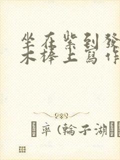 坐在紫到发黑的木棒上写作业
