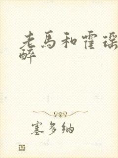 老马和霍瑶瑶喝醉