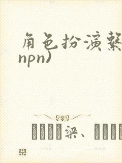 角色扮演系统(npn)