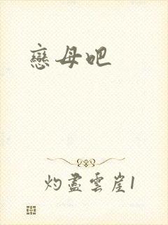 恋母吧封面