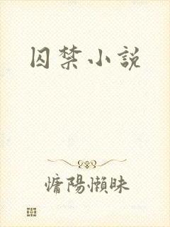 囚禁小说