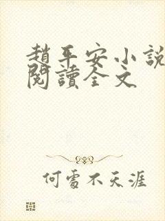 赵平安小说免费阅读全文