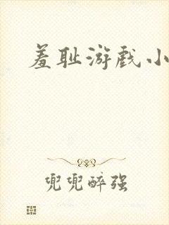 羞耻游戏小说封面