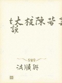 t大校陈若芸小说封面