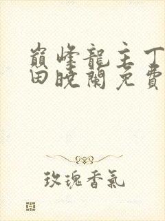 巅峰龙主丁长顺田晓兰免费阅读封面