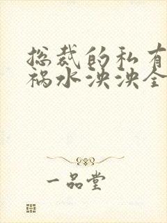 总裁的私有宝贝祸水泱泱全文阅读封面