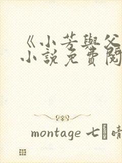 《小芳与父亲》小说免费阅读