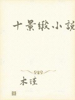 十景缎小说
